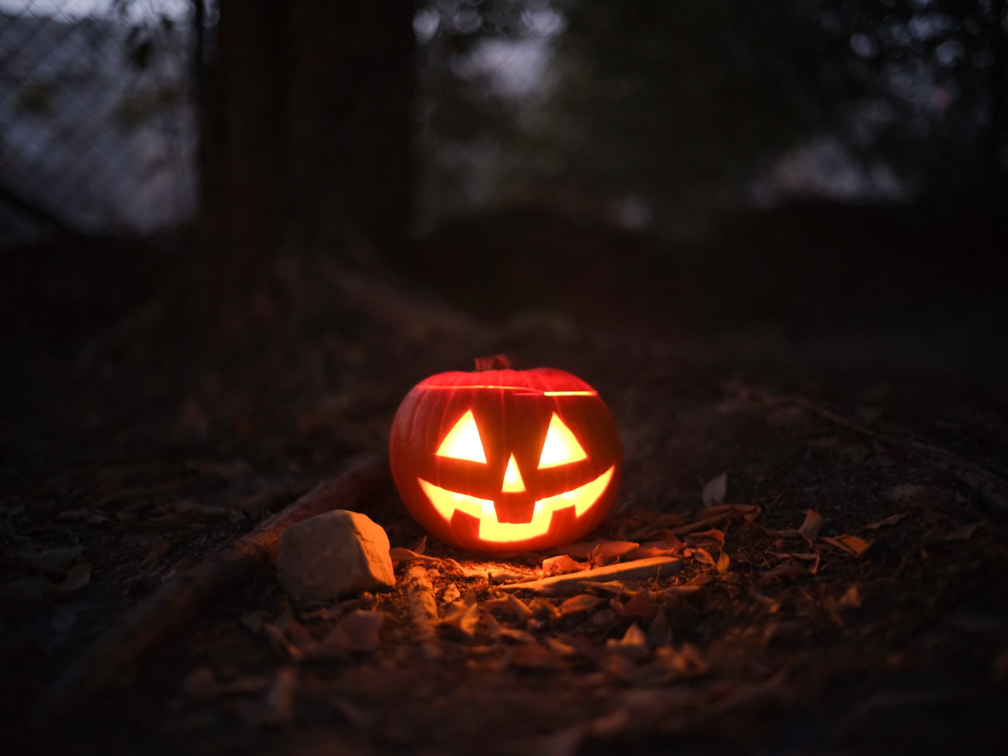 Glowing jack-o'-lantern outdoors
