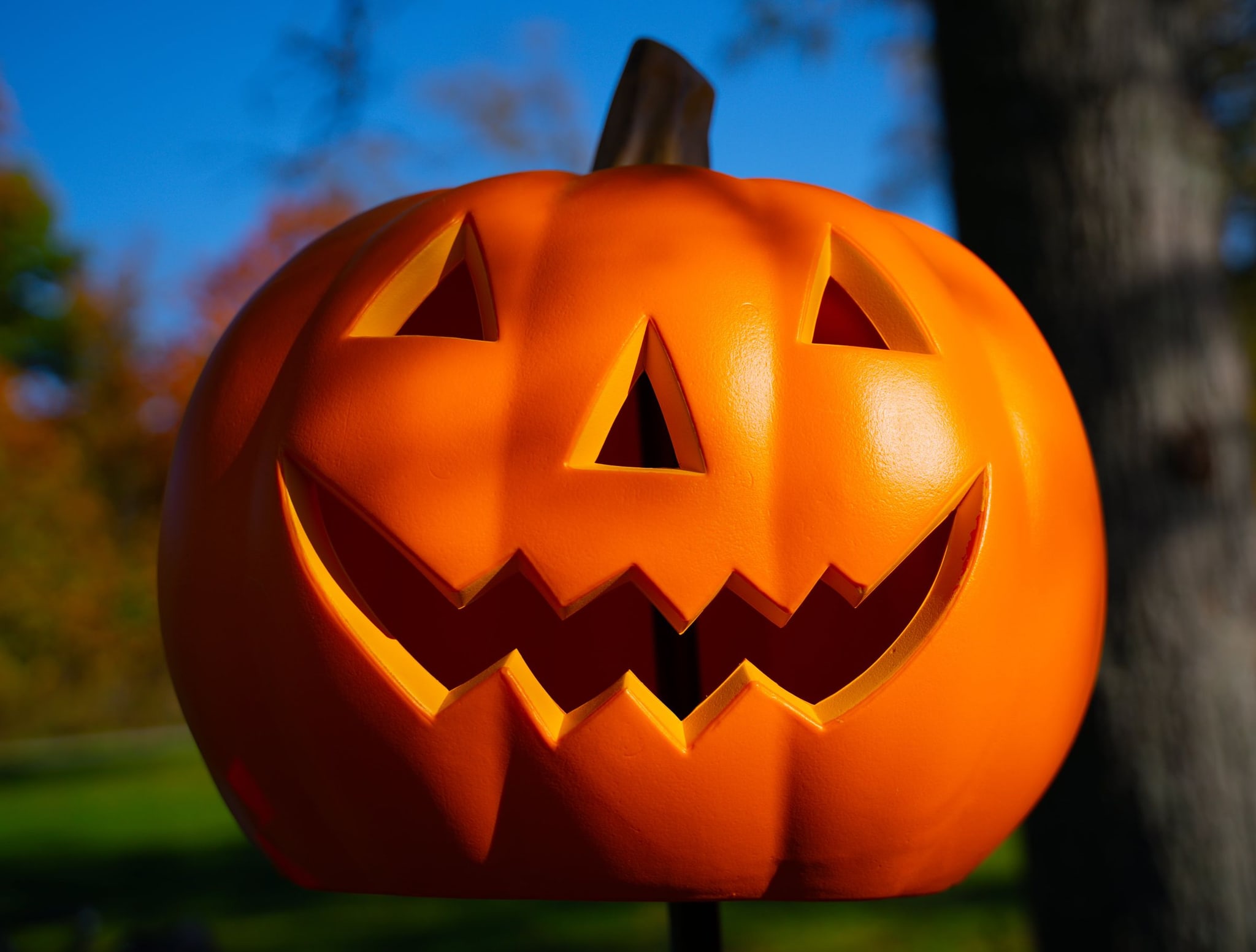 Bright jack-o'-lantern outdoors