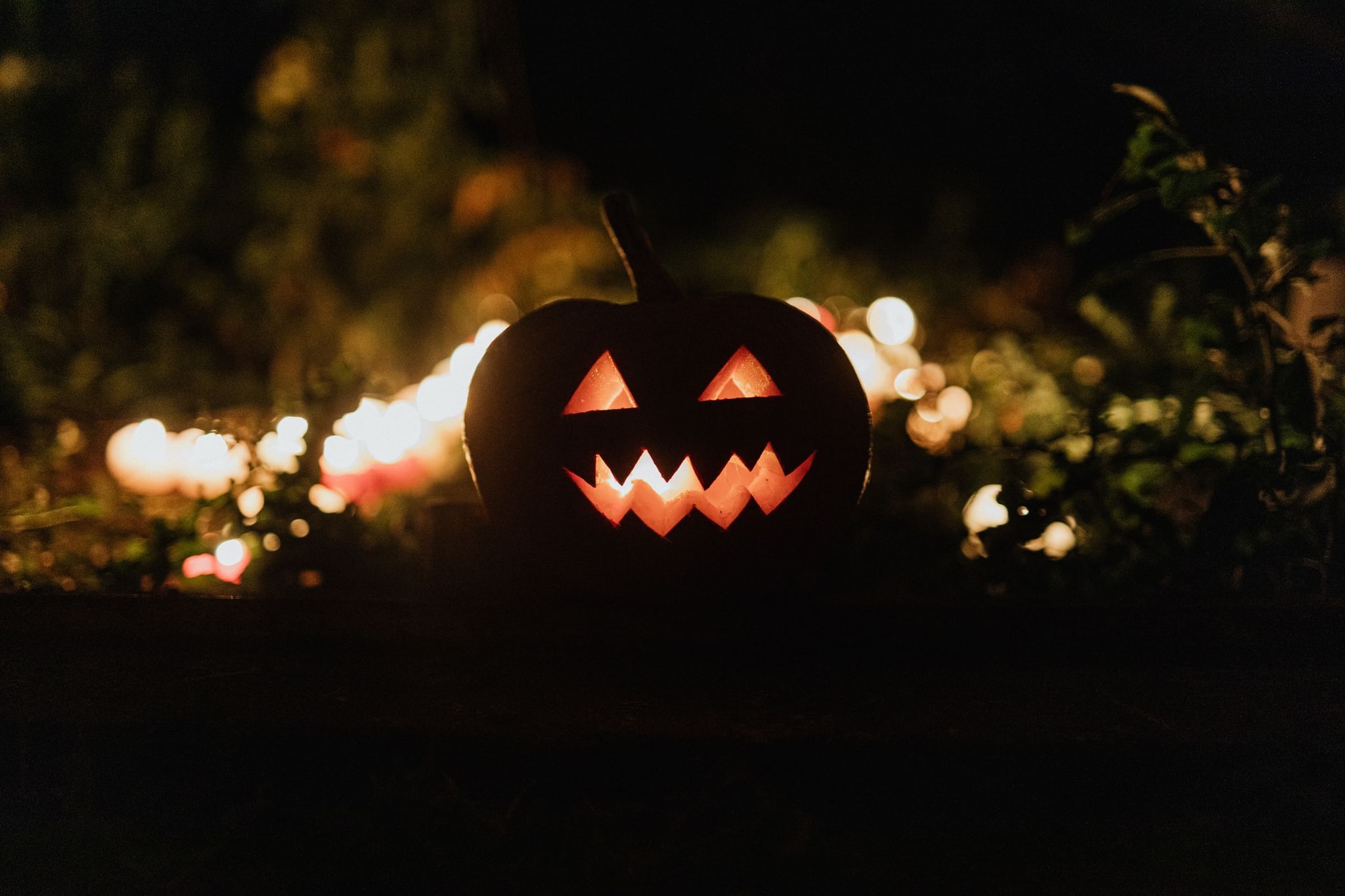 Jack-o'-lantern by candlelight