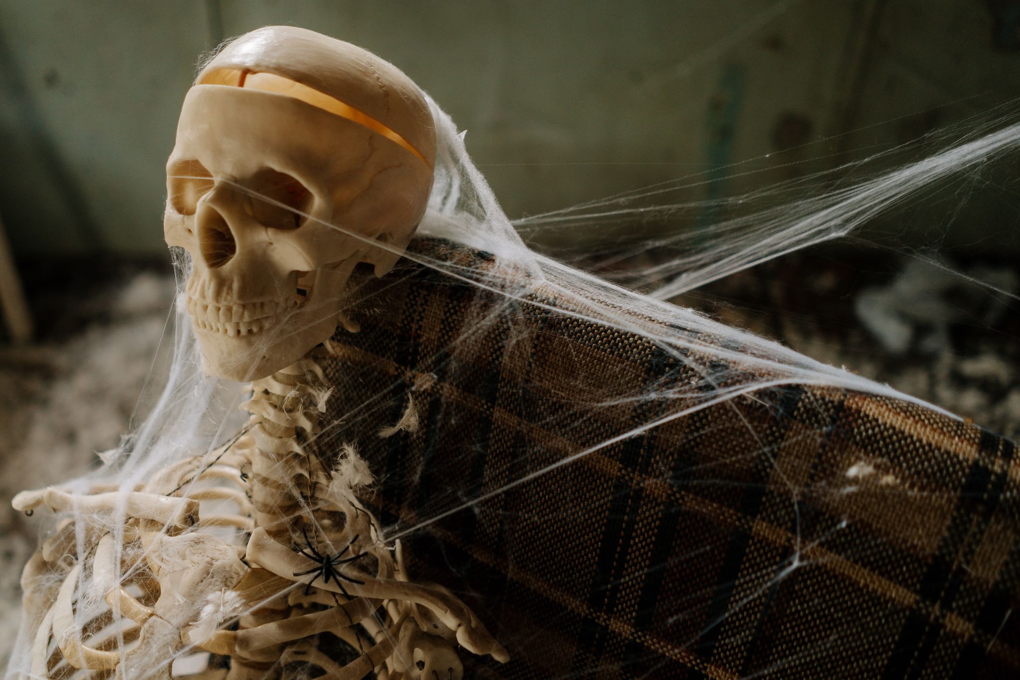 Skeleton in cobwebs