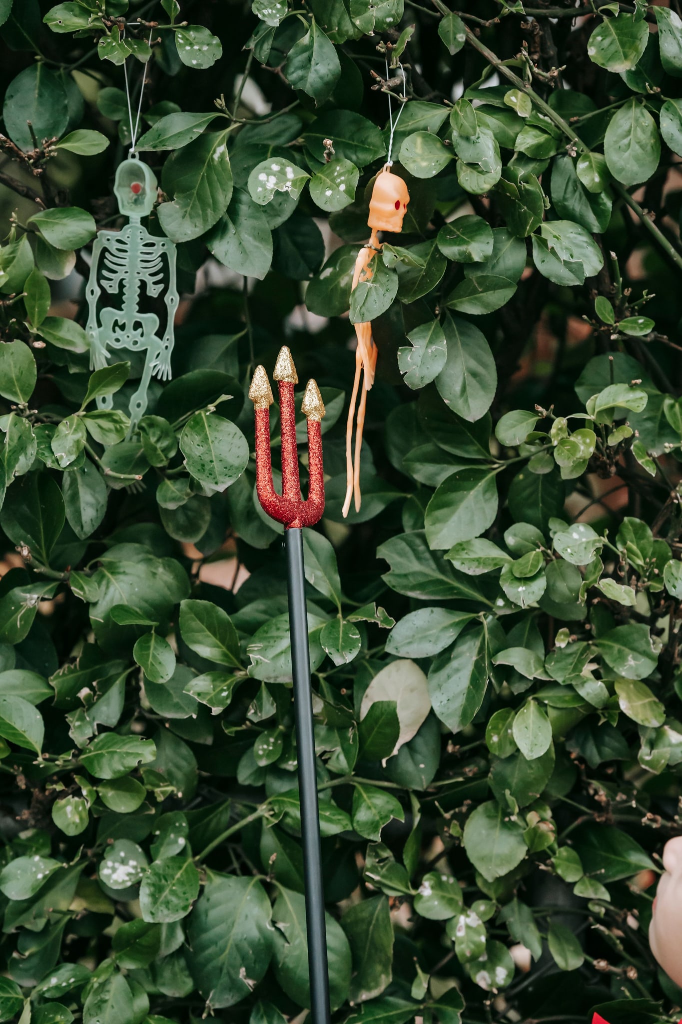 Trick-or-treat trident near shrubs