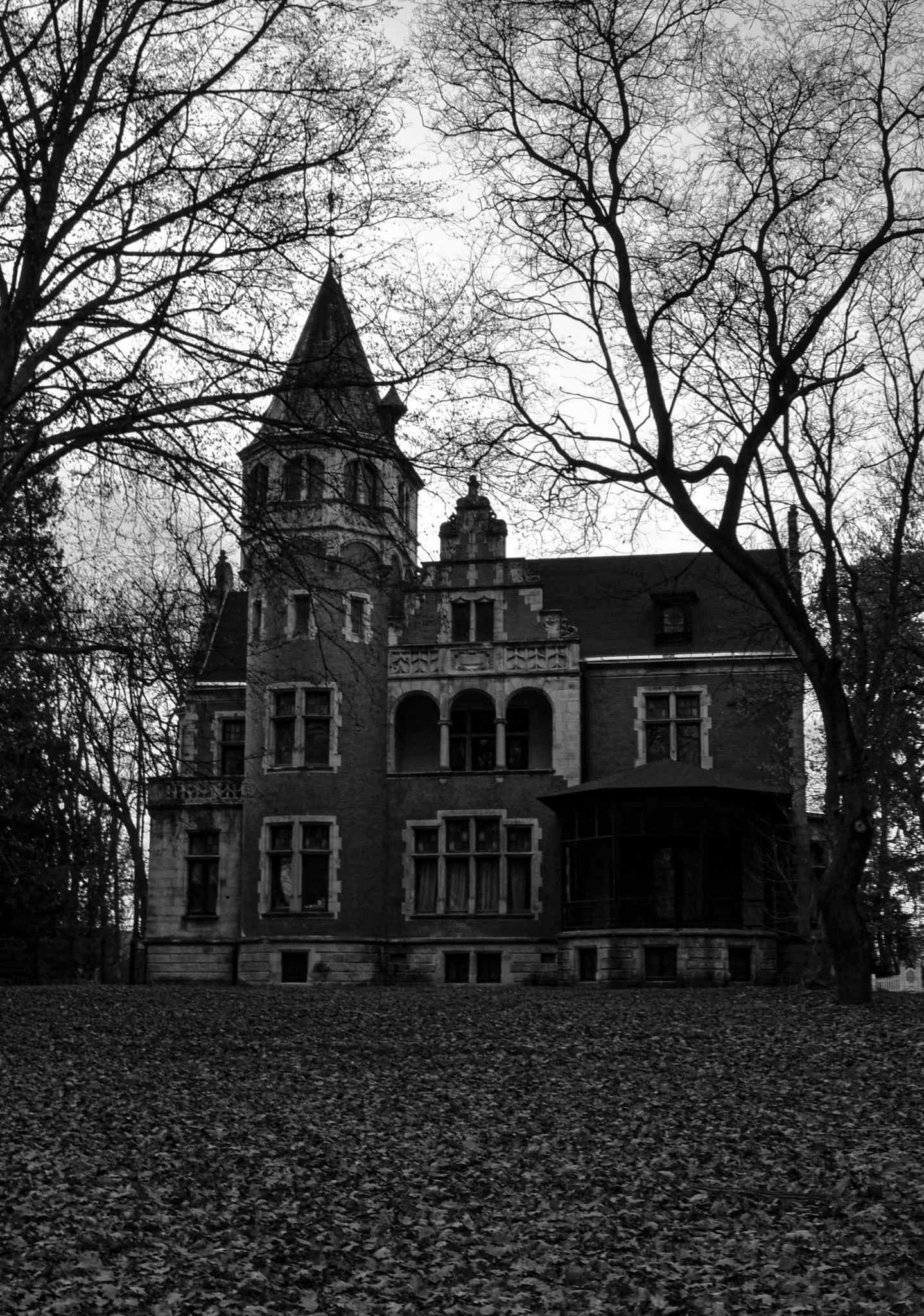 Gothic mansion among bare trees