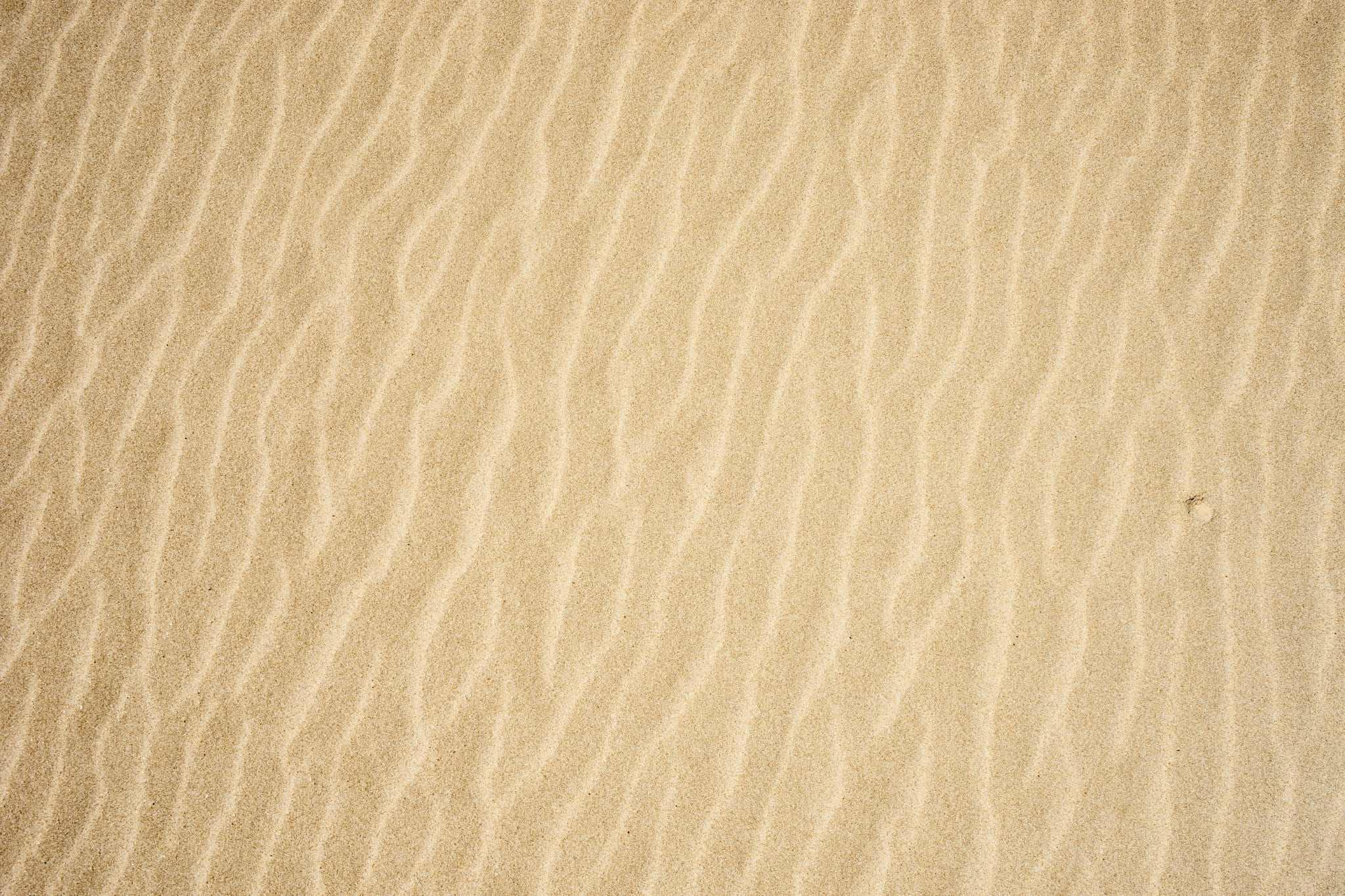 white and black stripe textile