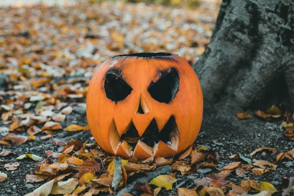 Carved pumpkin in autumn leaves