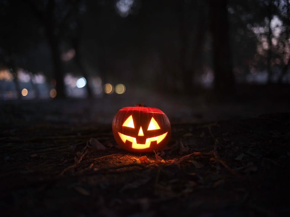 Jack-o'-lantern glow in dark forest