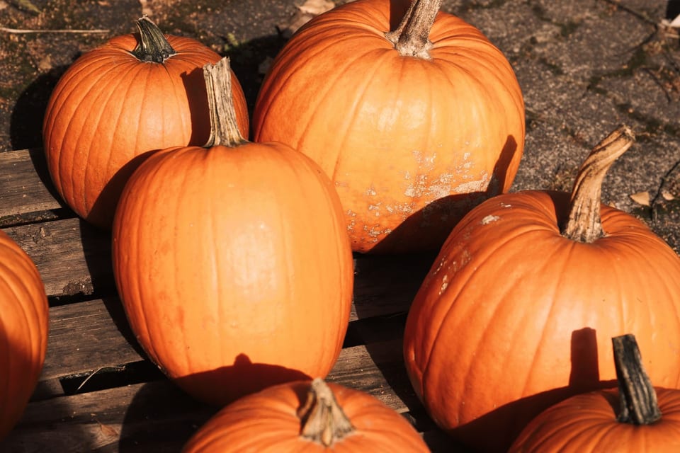 Pile of Halloween pumpkins