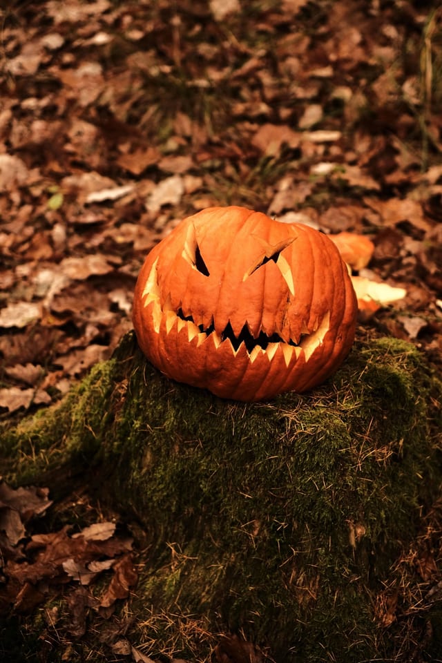 Carved pumpkin on moss in forest