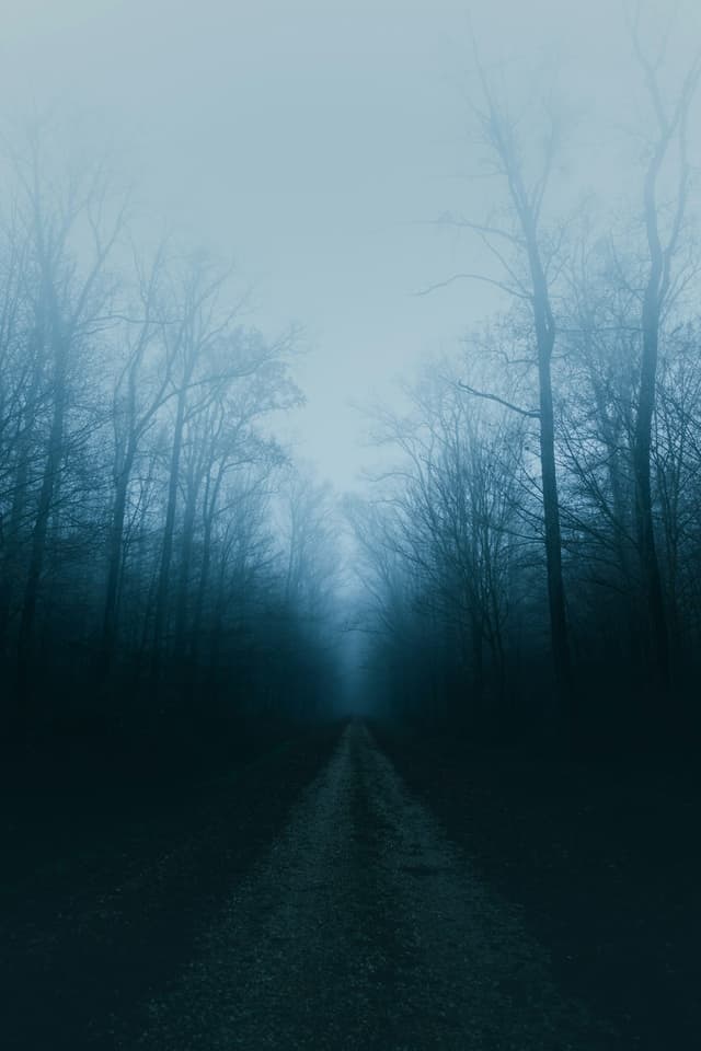 Never ending path