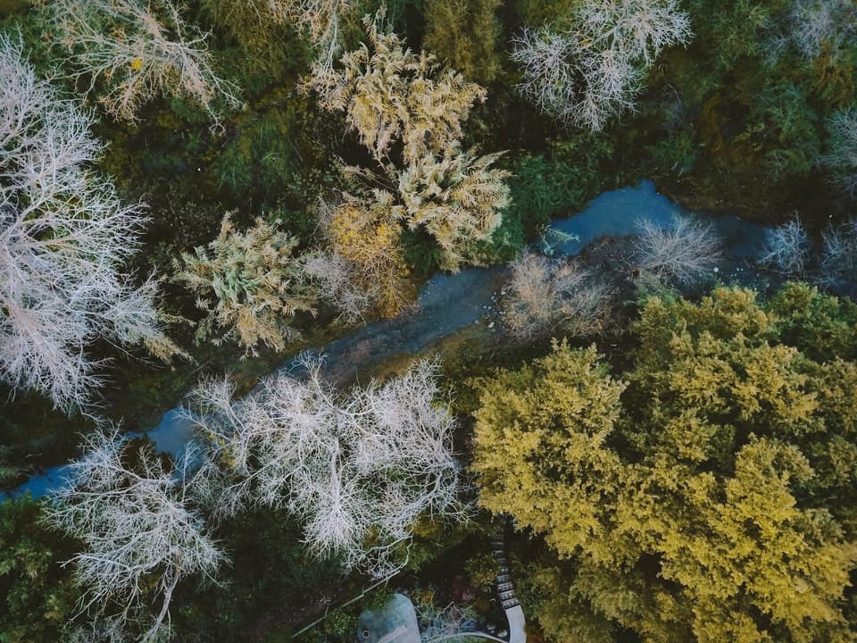 Down Along the Creek